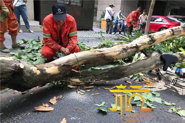 “中国文化进校园”活动 在摩洛哥举办