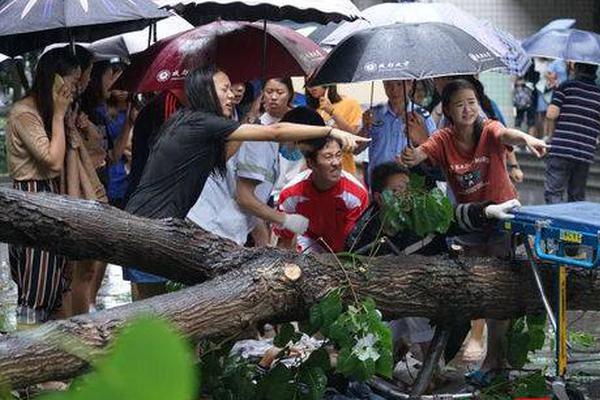 维维深耕酸奶市场！维维淳甄多炭烧酸奶，严守品质，成就更多市场大商！