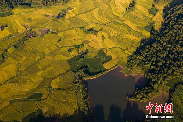 山水庄园水果罐头，经销商必选的爆品！