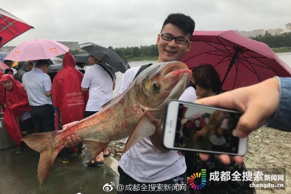 E88新一代“神仙配色”即将上市，vivo S6流光秘境备受欢迎【数码&手机】风尚中国网