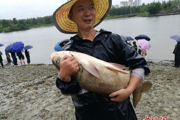 火爆产品，终端铺货不断！餐遇系列品质过硬，值得信赖！
