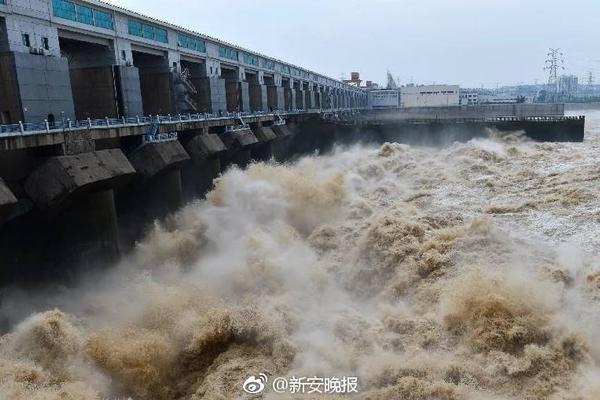 推新！萝卜枪、平衡树…益智星糖玩鲜明亮眼，颜值爆表！