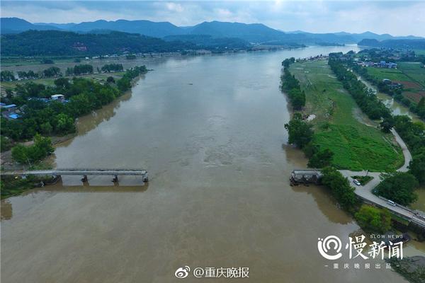 匠心传非遗 助残报桑梓