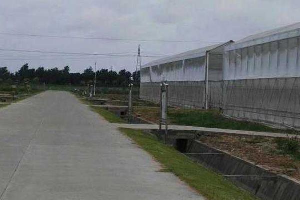 东至至德小学获“全国青少年人工智能活动特征单位”称谓