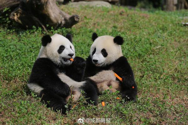 金融理财师大赛进入初赛