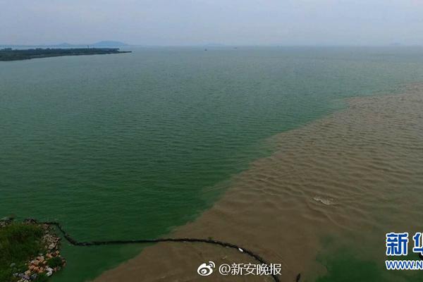 蜗旅果肉果汁礼盒，喜迎春节，代理必备！利润高、销量大！