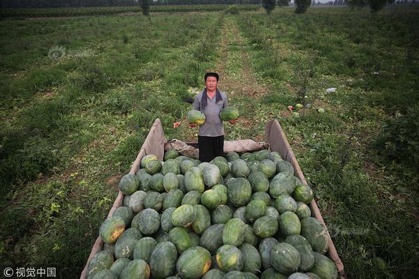 壹号pg电子游戏官方版