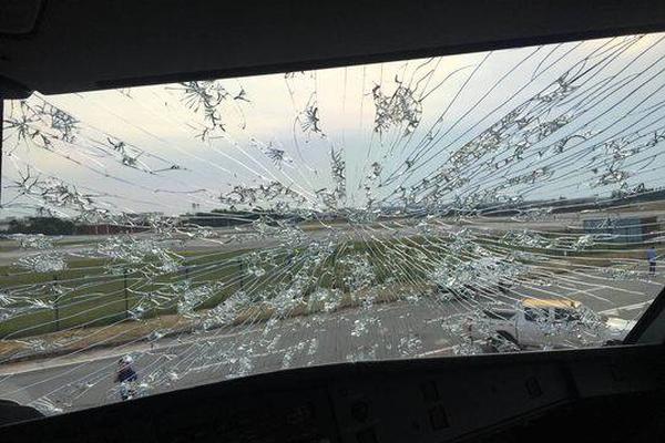 星空app官网下载讲解