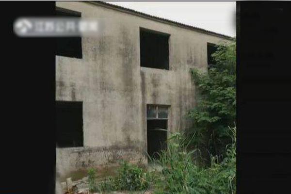 十六年火爆网，六重豪礼助实体！恭贺沃尔旺食品续约火爆网！