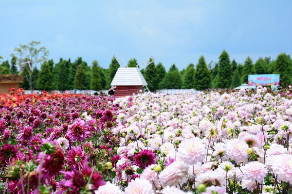 宿州市周寨村传统庙会风俗邂逅时髦元素