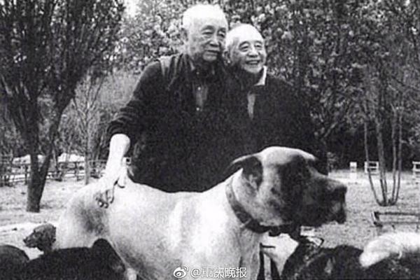 有失水准！帕尔默前场任意球，直接离谱打飞