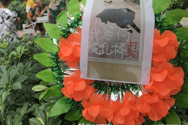 山村教师周仲东中选“安徽好人”