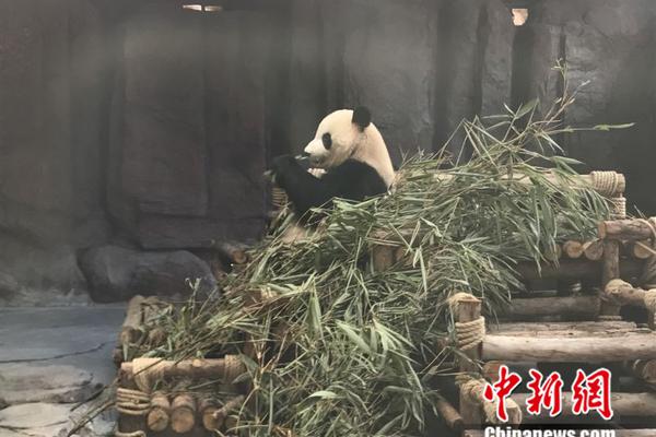 北京心理咨询工作室：父母做好性教育应对孩子青春期性萌动【健康】风尚中国网