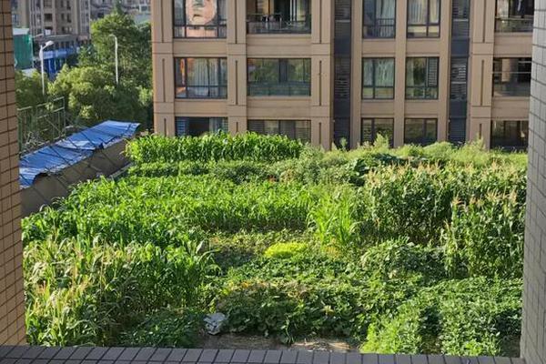 铜陵市图书馆暑期少儿阅览推行活动内容丰富