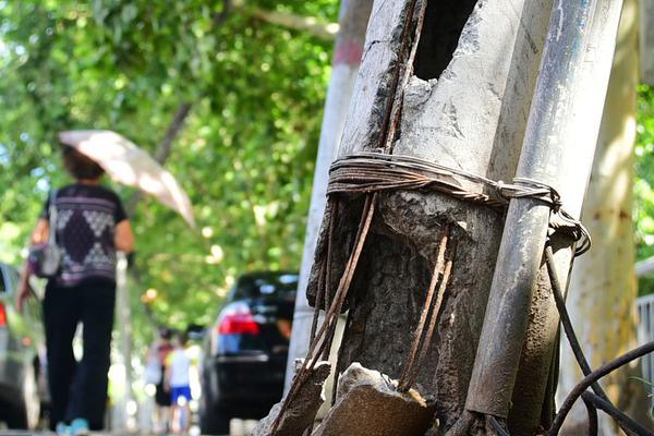 亳州市将遴选3家老药工传承工作室资金扶持