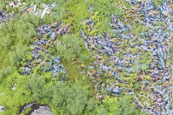 长丰“新农民”从乡野到直播间