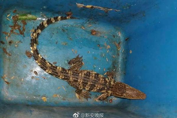 我省3名学子获国家级“科技创新奖”