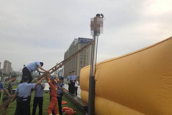阜阳收藏郢爰金币见证阜阳战国时期的经济繁荣