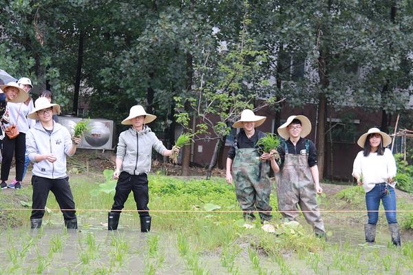 大腿！B费加盟曼联后在10场比赛中创造至少7次机会，同期英超最多