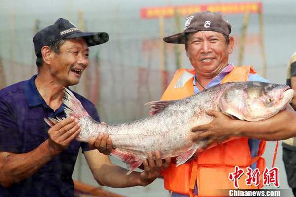 圣诞礼物不妨送以自己一台17英寸LG gram大屏轻薄笔记本【数码&手机】风尚中国网