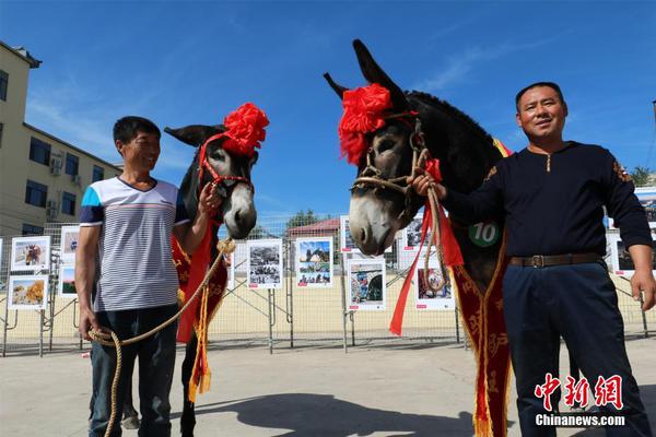 铜陵举行“爱鸟周”主题摄影展助力生态文明建造