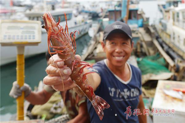 哆乐乌龙茶高品质，茶香四溢，经销商代理必备！