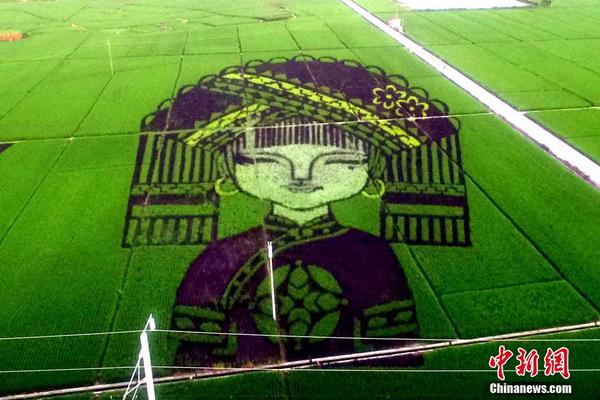 “80后”非遗传承人玩转葫芦雕画18年