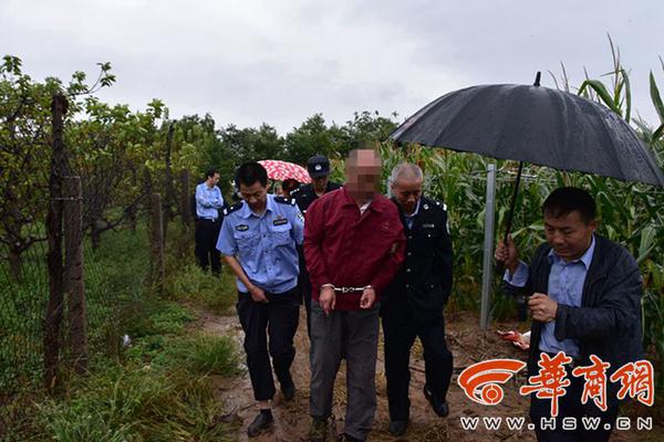 芊芊雅果杯装果汁，口感独特，与众不同！全新包装，全新升级！