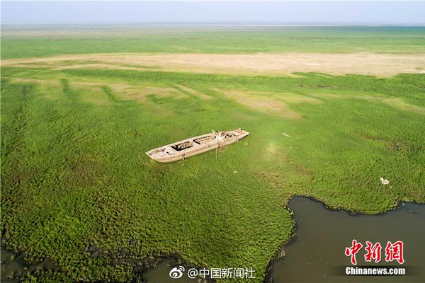 创意新巅峰！ROG上线力作幻14 潮酷设计+极致性能【数码&手机】风尚中国网