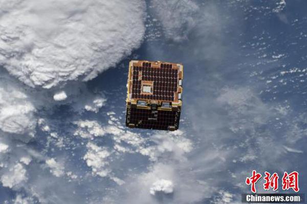 300个玉米种类在肥“选美”