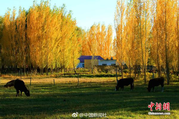 市场畅销，前景无限！好飒果汁气泡水好喝又好卖！