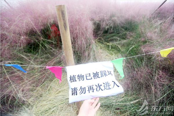 熬夜上火喝吉减！王老吉吉减柠檬果蔬汁备货春节，礼盒上量！