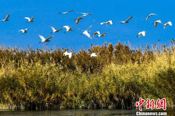 聚焦健康饮品，泰新鲜凭实力突围！火力全开，燃爆终端！