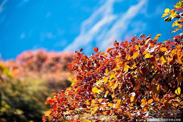 “红漫大别山，上海、六安赤色文明金山展”开幕