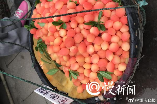 宁德市15所“规范校”申报单位将迎市级评价