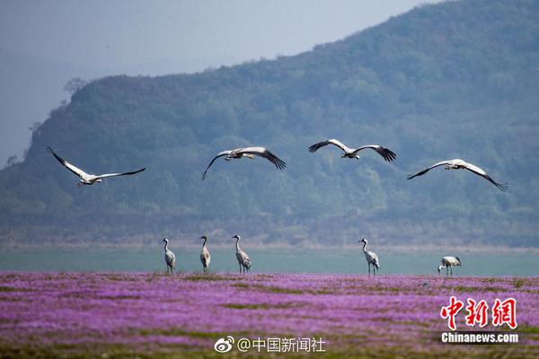 天亮了罗马200万年薪签欧冠最佳后卫胡梅尔斯尤里奇只给24分钟