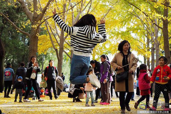 合肥市展开第29个全国“土地日”宣扬活动