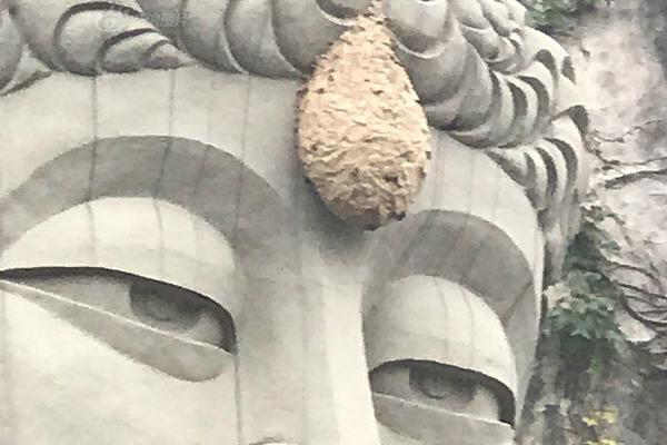 果汁商场再爆优质新品，格格美果汁饮料助你旺季包围，欢迎您的署理！