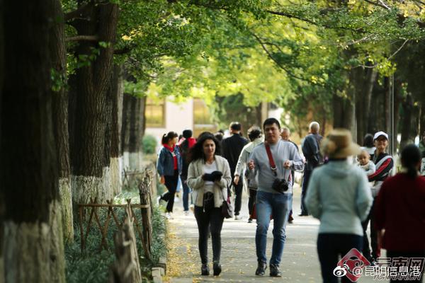 韩再芬：“协同”六部戏，再诉黄梅心