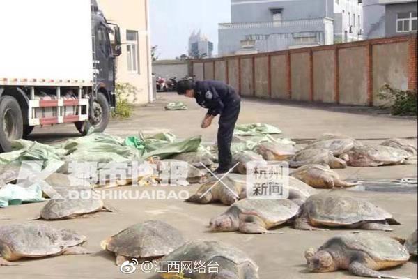 青阳三小举行书写竞赛