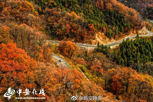 网红都有“百万修图师”？有了这款神器随手拍出写真级大片没在怕的！【数码&手机】风尚中国网