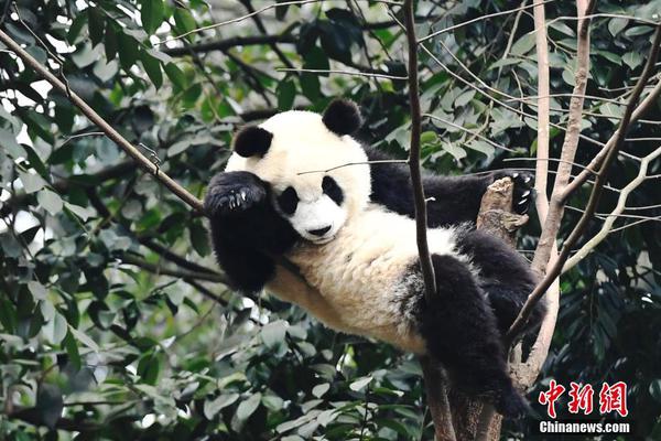 牛小溪果汁茶，真茶真果汁！喝出顺滑，喝出健康！