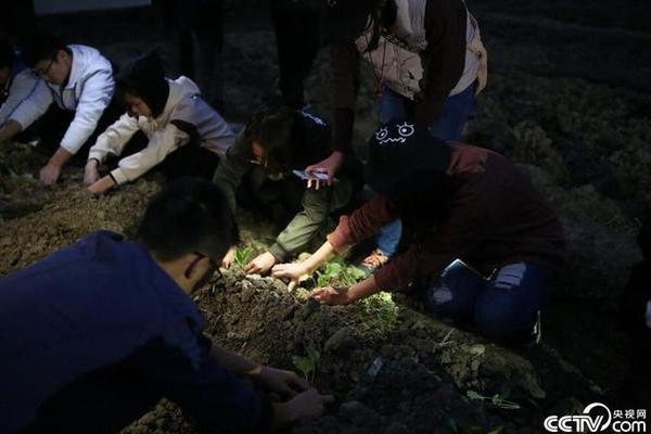 范尼带领曼联已赢下3个主场比赛，与本赛季滕哈赫执教下相同