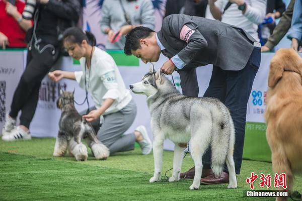 高品质，高利润！妙趣糖玩趣乐无限！