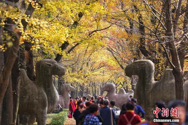 滁州第二届特色旅游产品大赛今天开赛