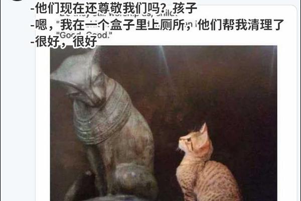 好味道，尝过才知道！体动香蕉牛奶终端火爆势在必行！