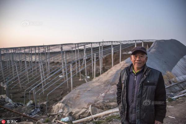 pg赏金女王怎么下载官方版