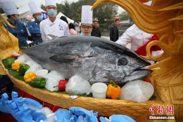 淮北南湖第三届牡丹节开幕