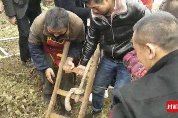 开展技能竞赛 提高环卫精细化管理