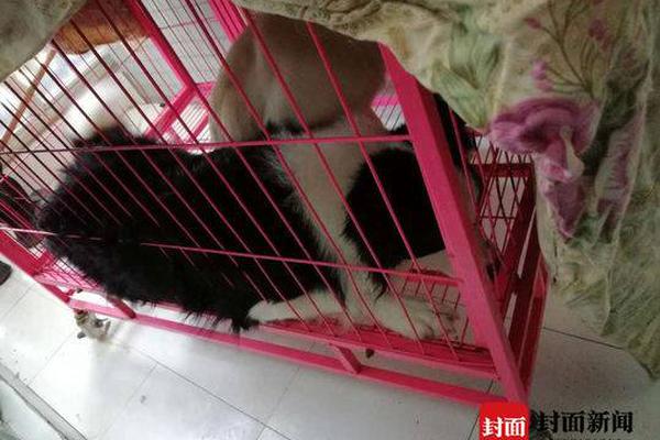 馈赠佳品，喜庆新装！王老吉春节礼盒，献礼美味中国年！